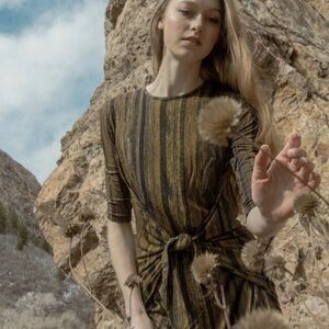 Chic Long Sleeve Striped Dress in Black and Brown